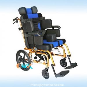 Xe bệnh nhân bại liệt dạng ngồi